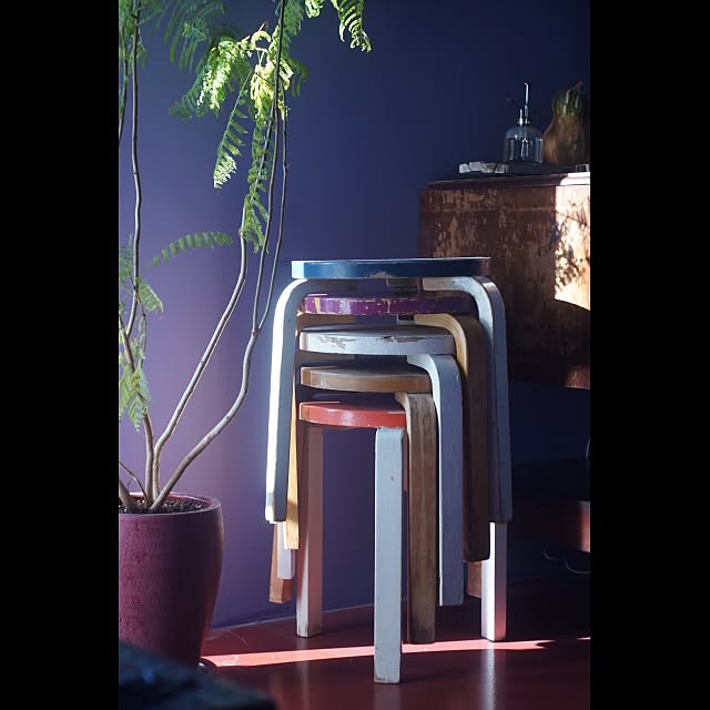 Design papa Ka-tuさんの実例写真