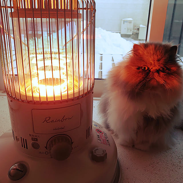 Chiyoriさんの実例写真