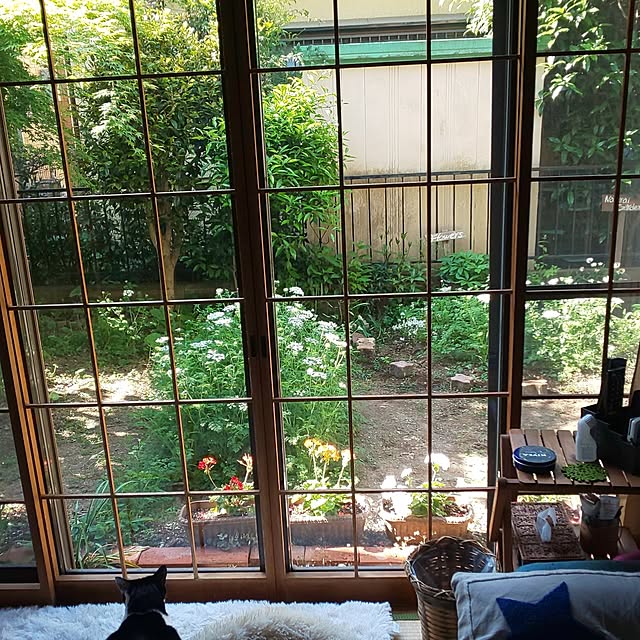 oseroさんの部屋