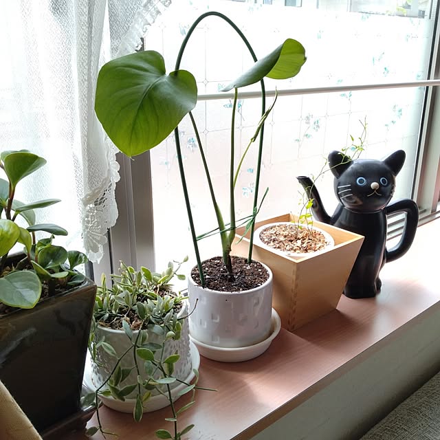 hiroeさんの実例写真