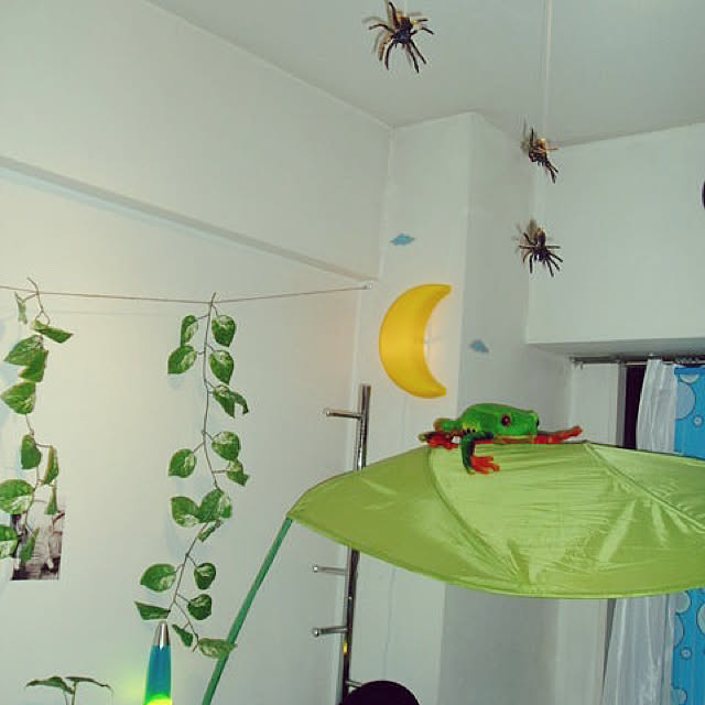 kinokoさんの実例写真