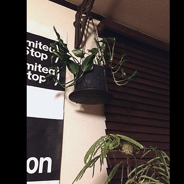 jnkaiさんの実例写真
