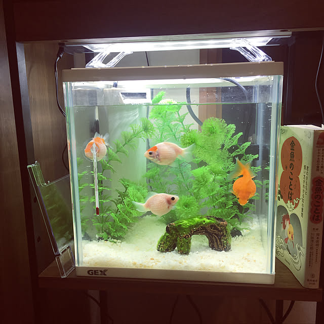 sunaさんの実例写真