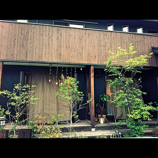 coKoさんの実例写真