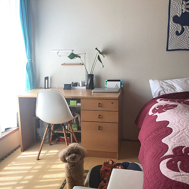 chaimomさんの部屋