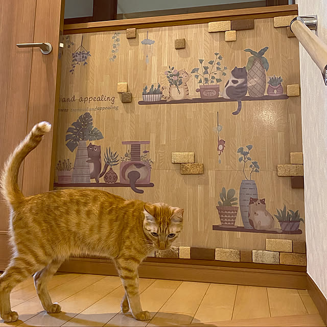 yamamomokansaburouさんの実例写真