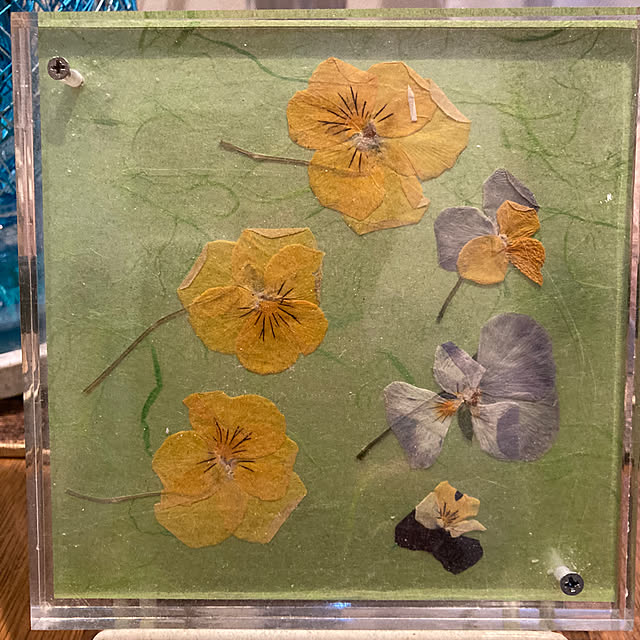 morinokumaさんの実例写真