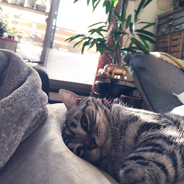 hiro3さんの実例写真
