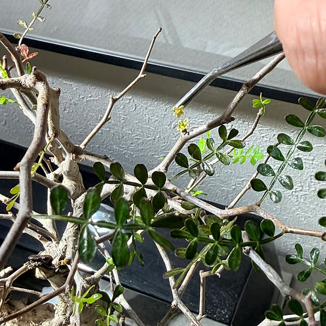 nuruiさんの部屋