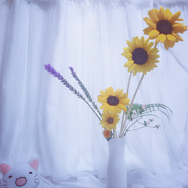 棚のインテリア実例 - 2019-06-30 08:00:05