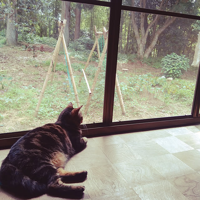 mairin318さんの実例写真