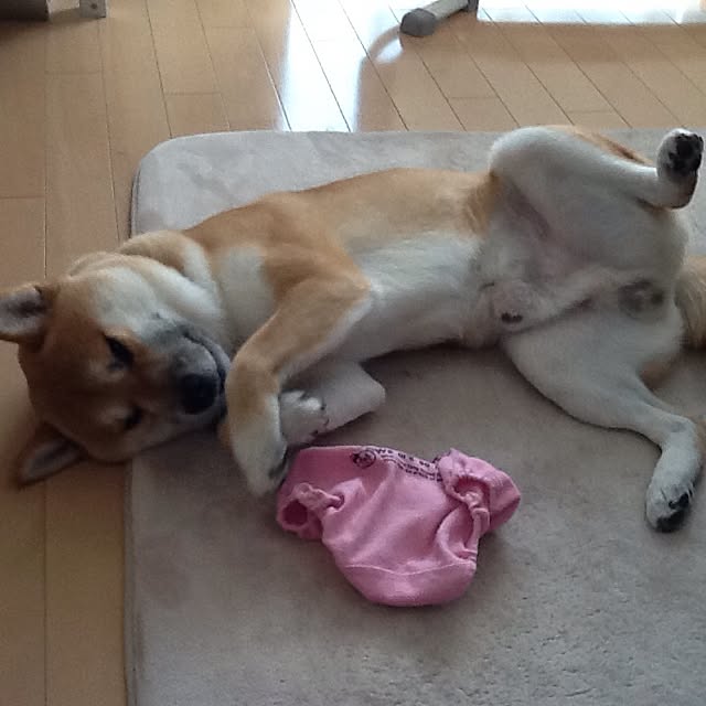 kotaさんの実例写真