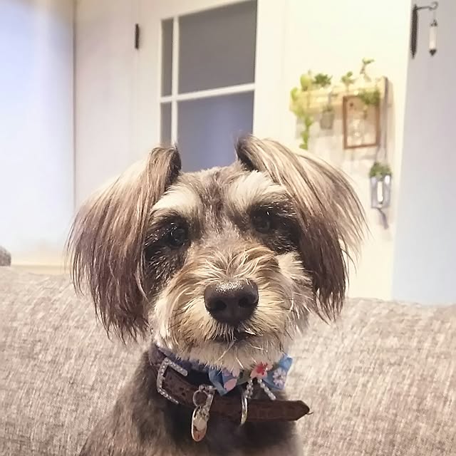 tommybondさんの実例写真