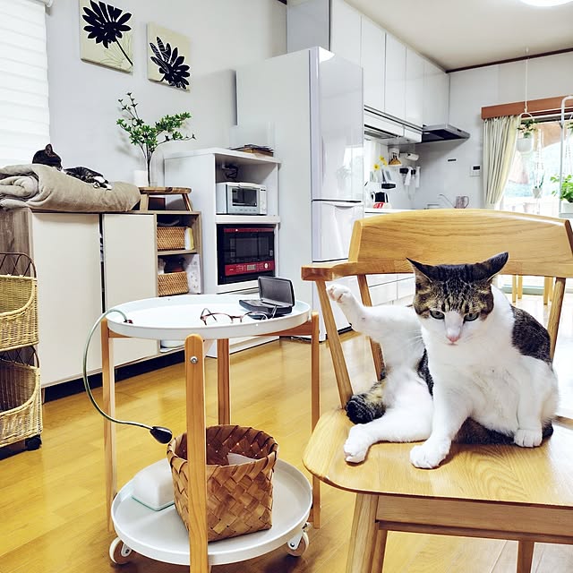 nachiさんの実例写真