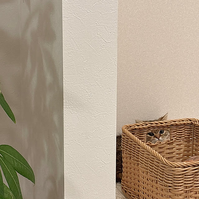 miyu39さんの部屋