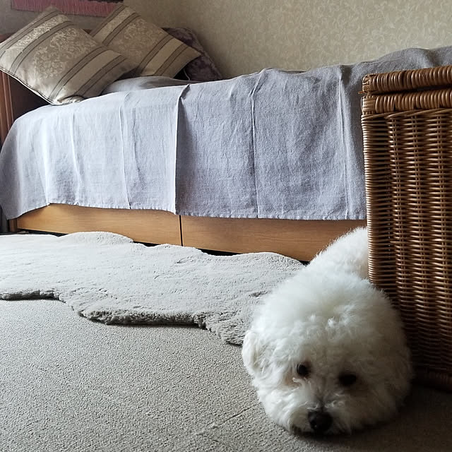 takoさんの実例写真