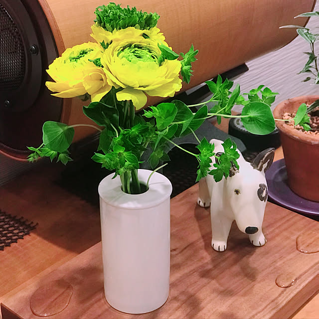 yucoさんの実例写真