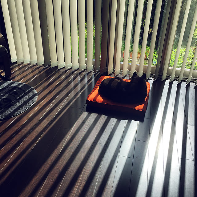 koharuさんの実例写真
