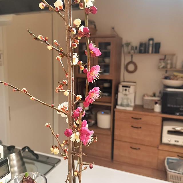 ayumiさんの部屋