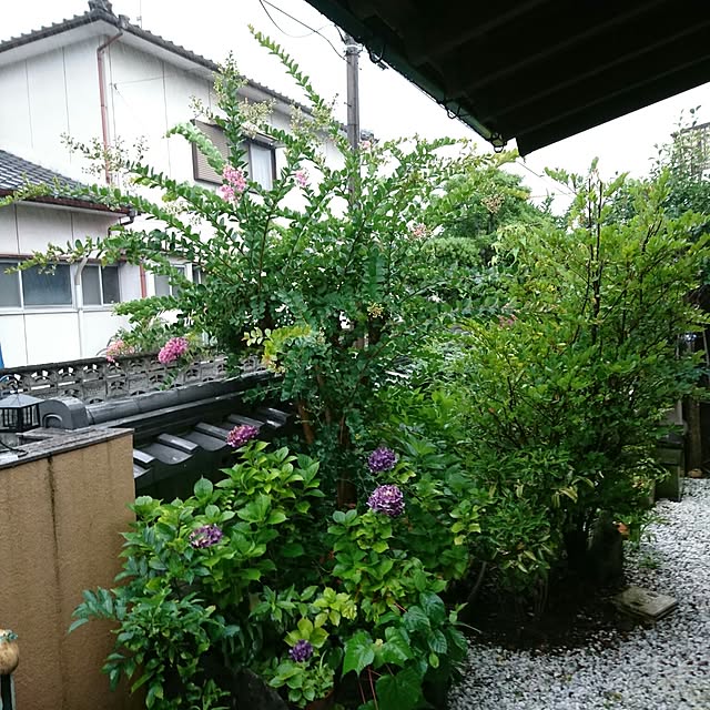 uchizukonyanさんの実例写真