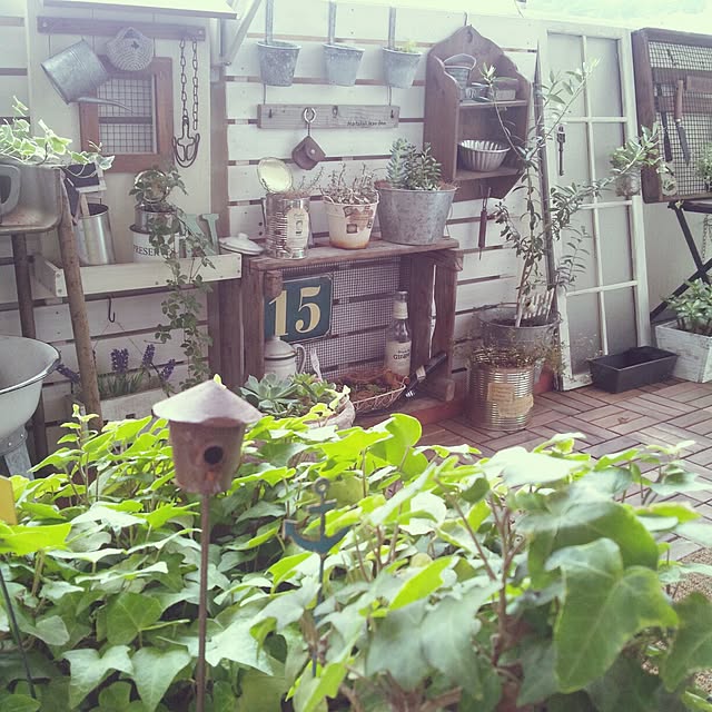 m.hinaさんの実例写真