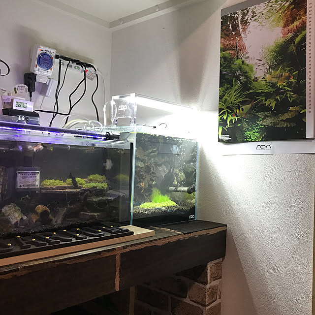 kouta_Co.さんの実例写真