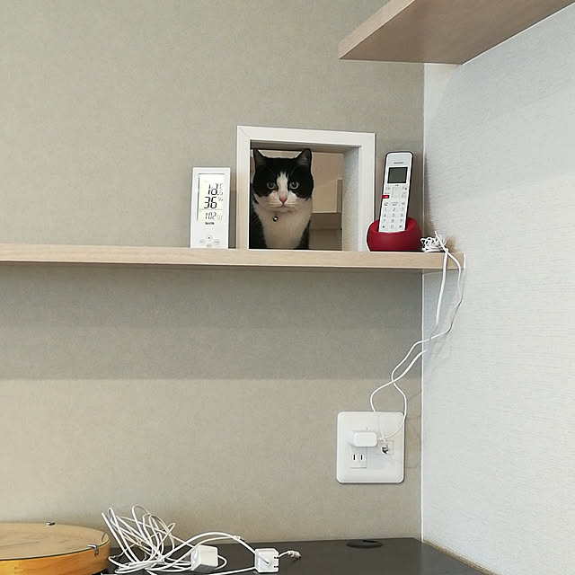 nikeyamaさんの実例写真