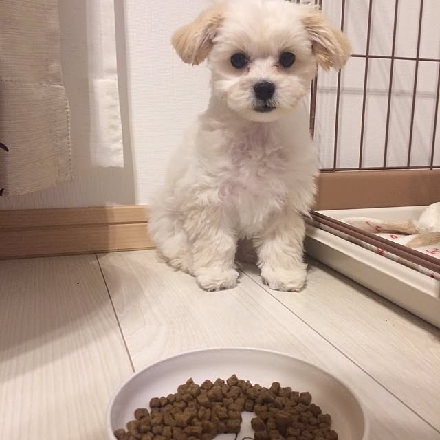 maru-cheeさんの実例写真