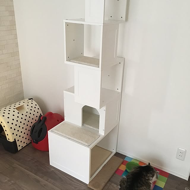 yumi_nekoさんの実例写真
