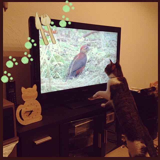 Chiiさんの実例写真