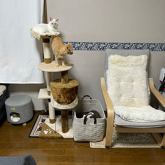 himetanさんの実例写真
