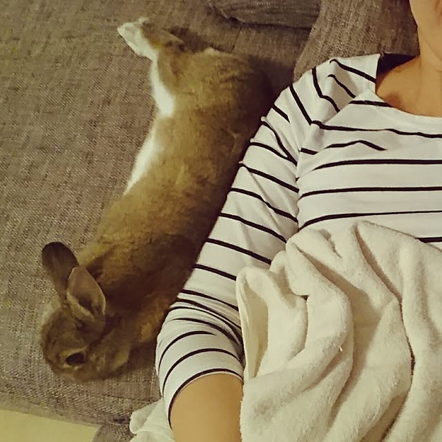 oharuさんの実例写真