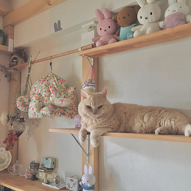 naokoさんの部屋