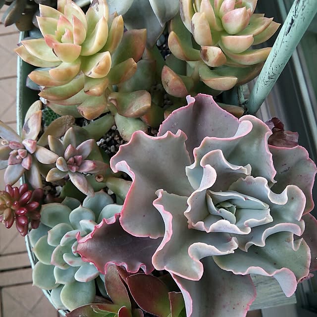 VERANDARJUNさんの実例写真