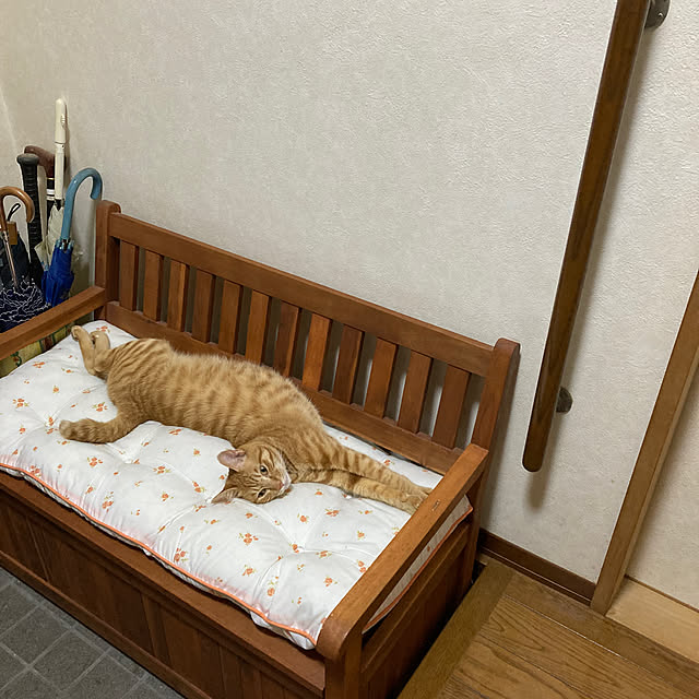 kirakirahoshiさんの部屋
