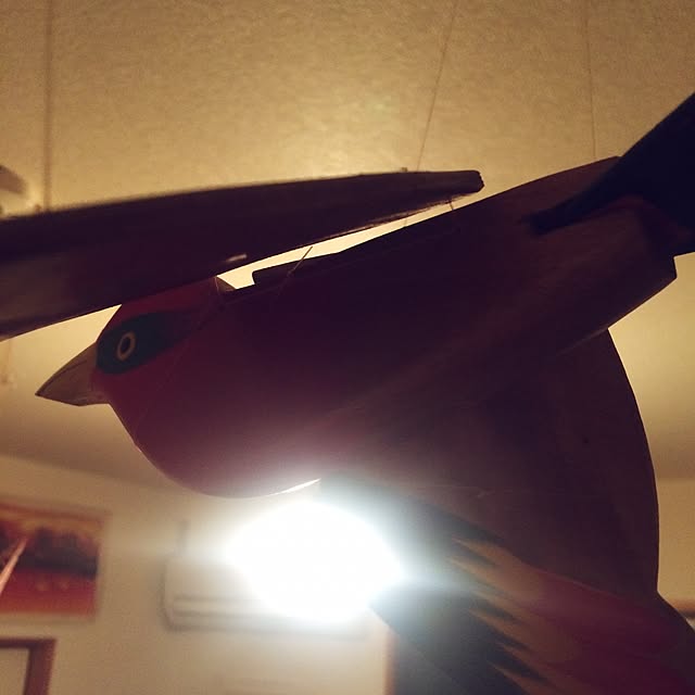 wanarchyさんの実例写真