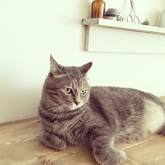 Sasaさんの実例写真