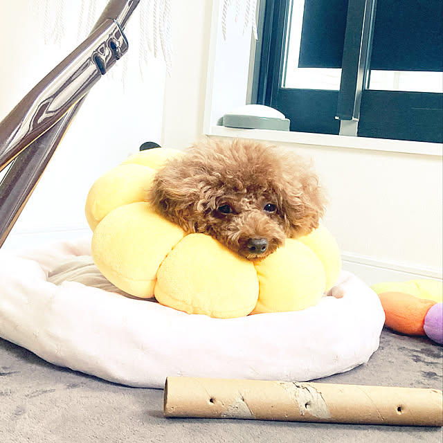 MOMOMAMAさんの実例写真