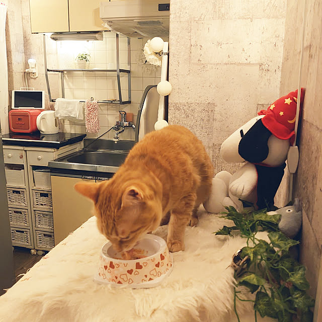 asuminさんの実例写真