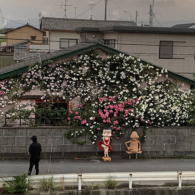 ganamiさんの実例写真