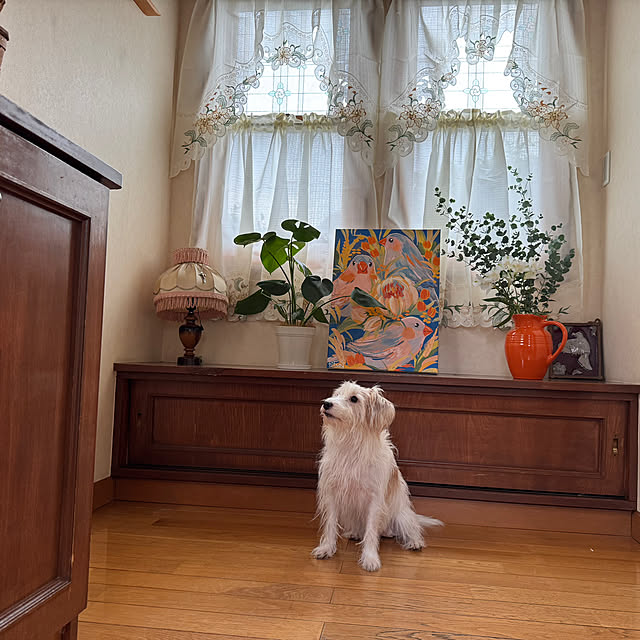 uzuraさんの実例写真