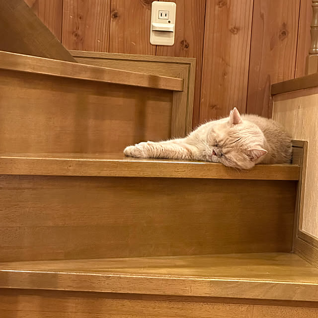 mama_sanさんの実例写真
