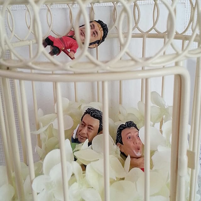 naoさんの実例写真