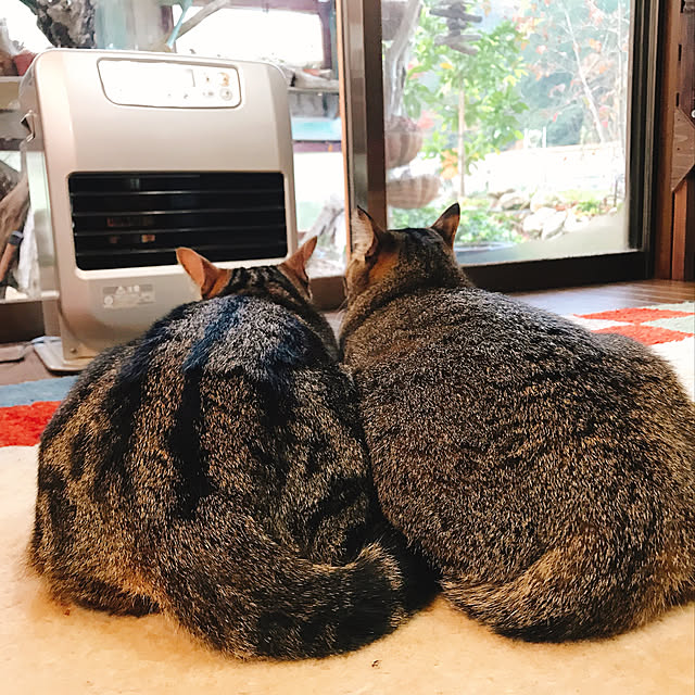 pepeさんの実例写真