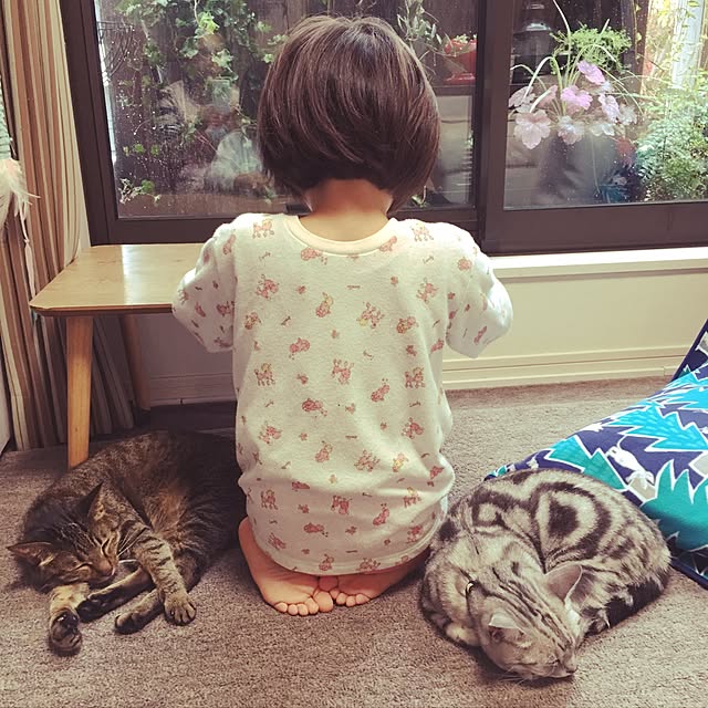 実例写真