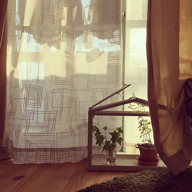 nikiさんの実例写真