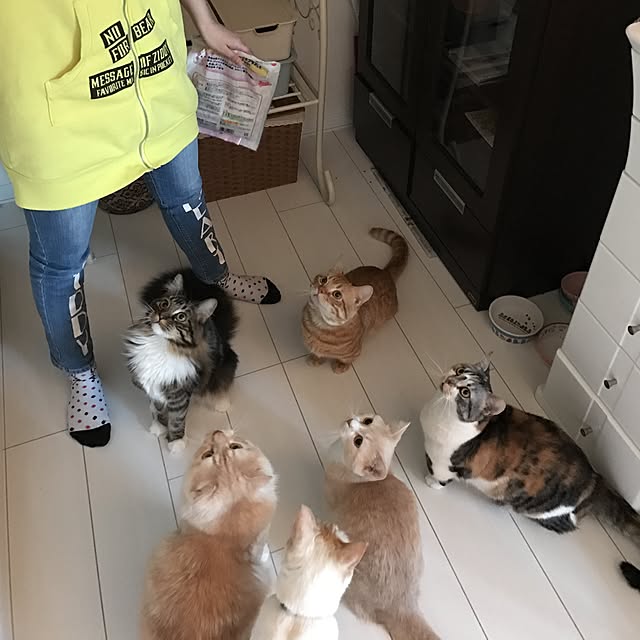 ayakona114さんの実例写真