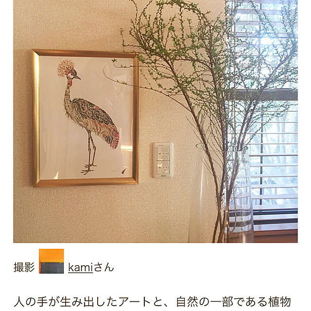 kamiさんの実例写真