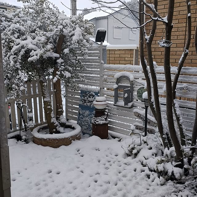 kana_ciiさんの実例写真