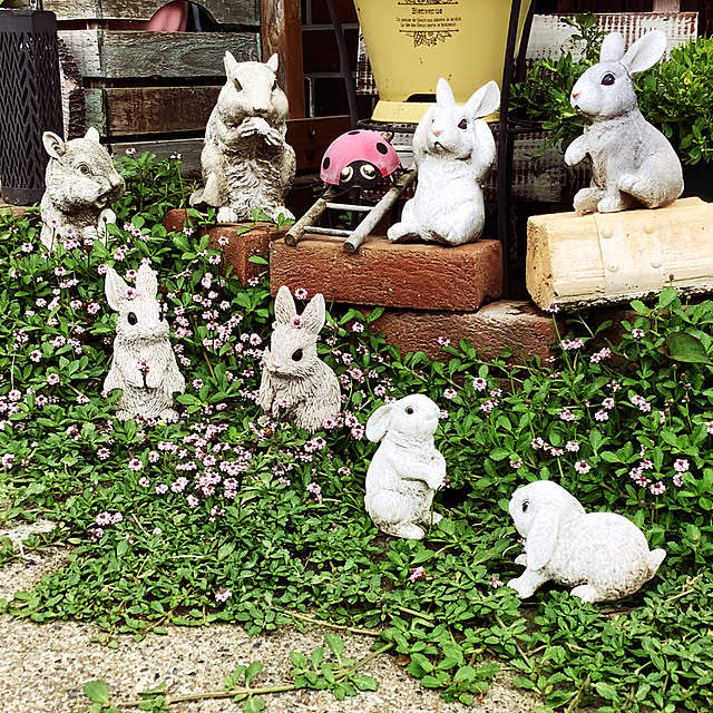 taeさんの部屋